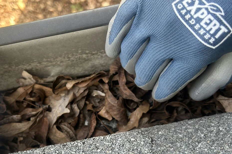 Gutter Cleaning West Hills