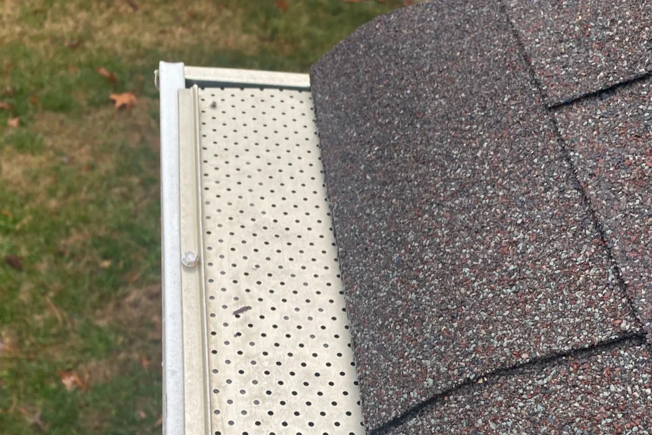 Gutter Cleaning West Hills